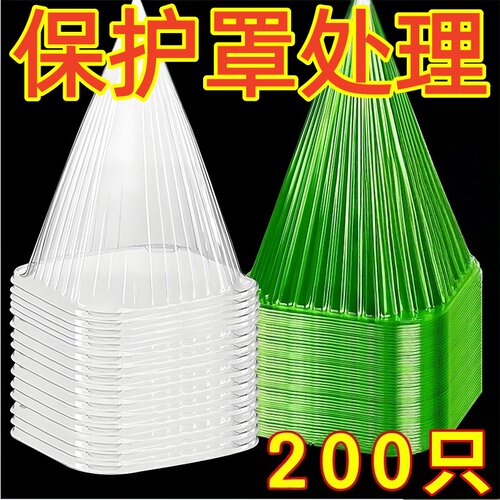 育苗保护罩蔬菜植物罩大棚瓜苗幼苗大号育苗罩秧苗保温防虫塑料罩
