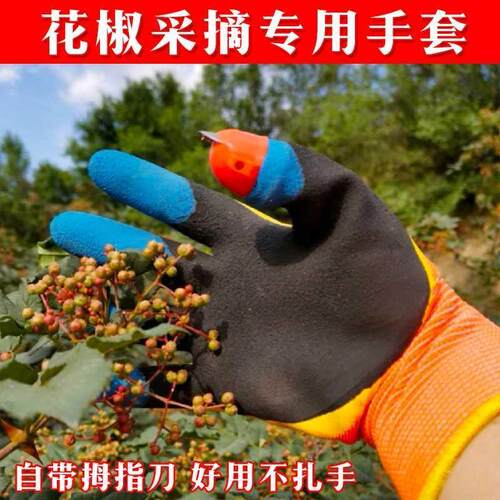 掐尖手指刀手套防扎刺摘酸枣