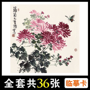 国画临摹卡名师画梅兰竹菊水墨绘画入门艺术培训教学全套单面36幅