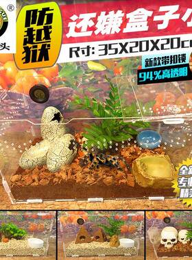 爬虫红火玫瑰蜘蛛亚克力饲养箱盒雨林蝎守宫蜈蚣宠物玉米蛇352020