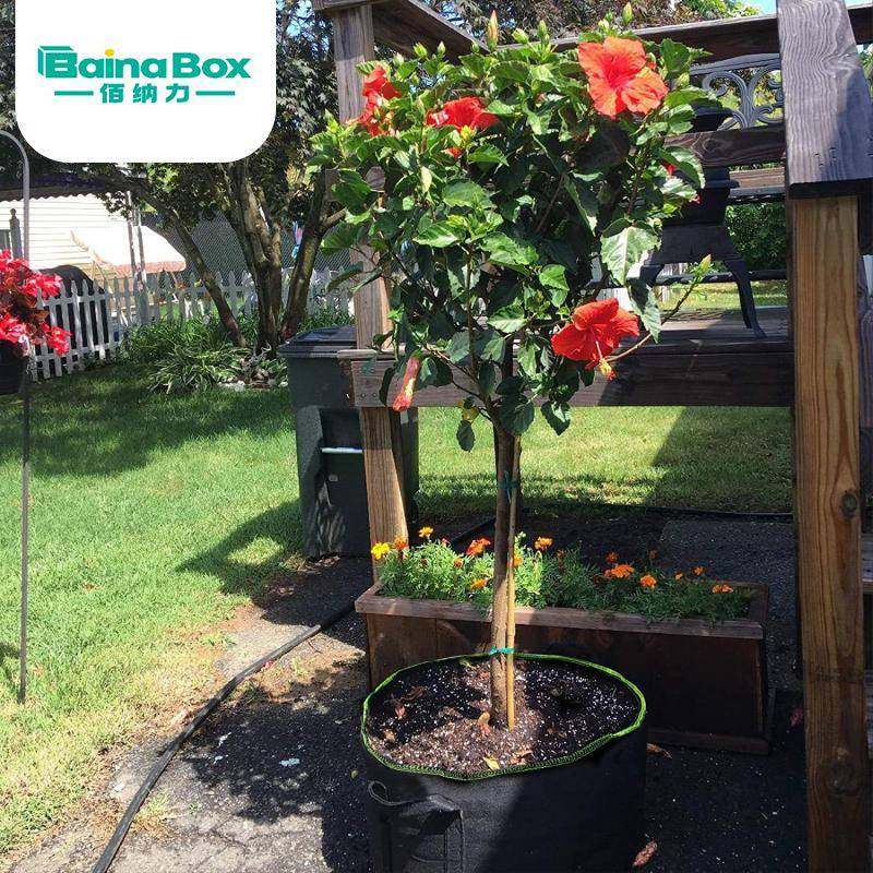 跨镜植物袋grow bag种植袋生长育苗无纺布美植袋植树袋花盆袋,鲜花速递/花卉仿真/绿植园艺,其它园艺用品,淘宝优惠券,粉丝福利购,淘宝优惠卷