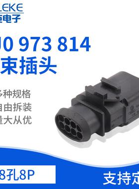 8孔1J0973814适用于大众雷达变速箱线束插头汽车配件接插件