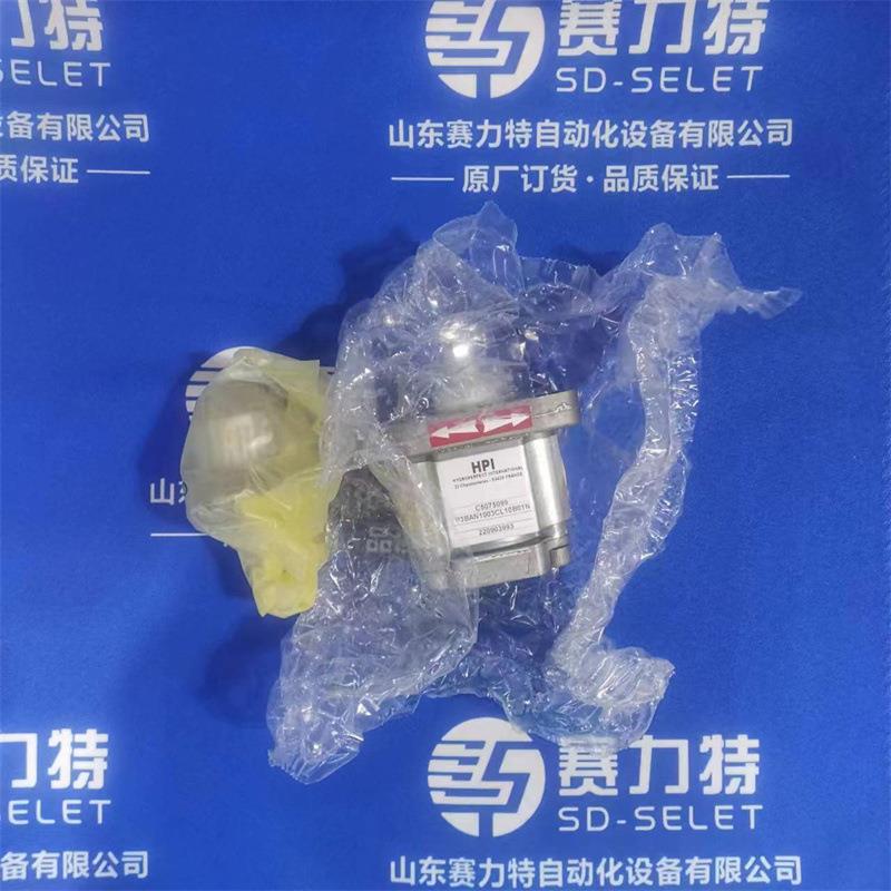 法国原装HPI矿山齿轮泵P3BAN1003CL10B01N
