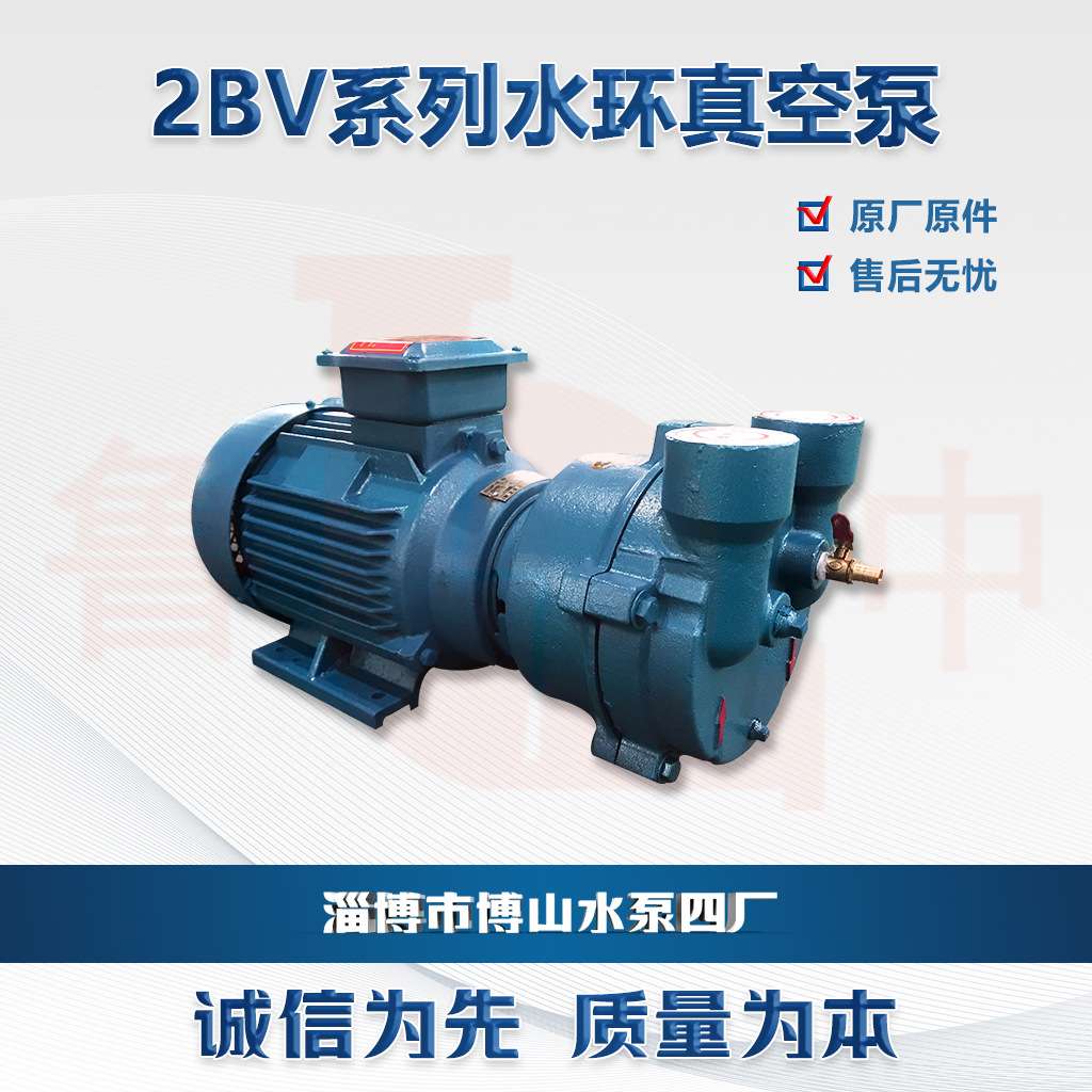 2BV6121系列水环式真空泵带托架不锈钢真空泵厂家直供鲁中牌