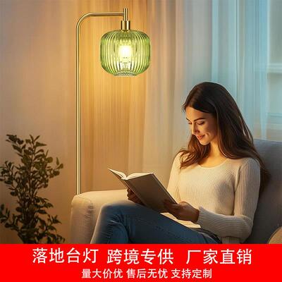 简约轻奢客厅卧室落地台灯 高颜值沙发旁装饰氛围灯落地一体台灯