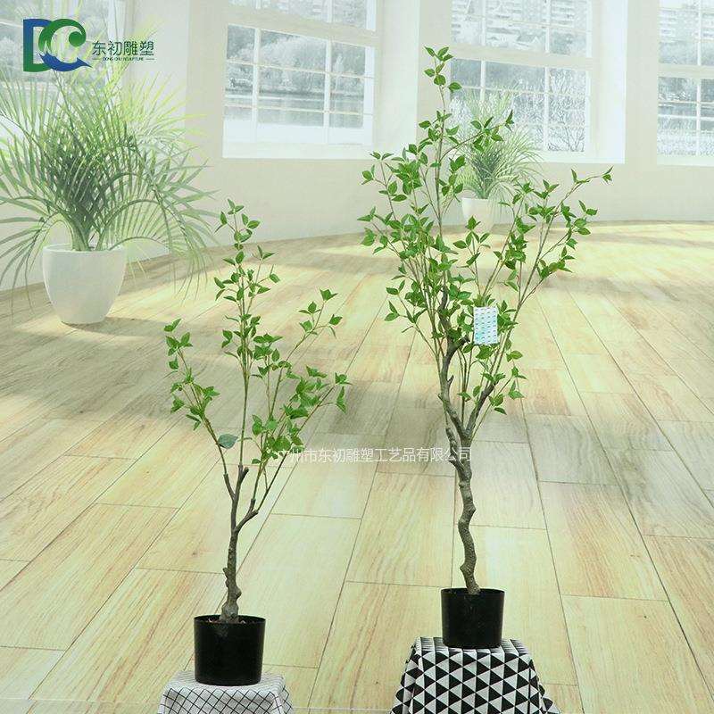 厂家新款小型1.5m北欧风室内造景绿植装饰摆件人造仿真水青冈盆栽