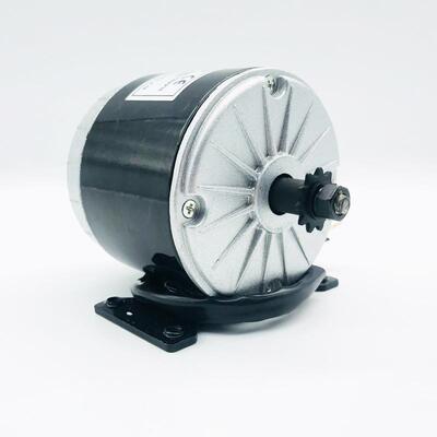 羚鹰小海豚同步齿轮电机24V350W300W250W高速电机电动车高速电机