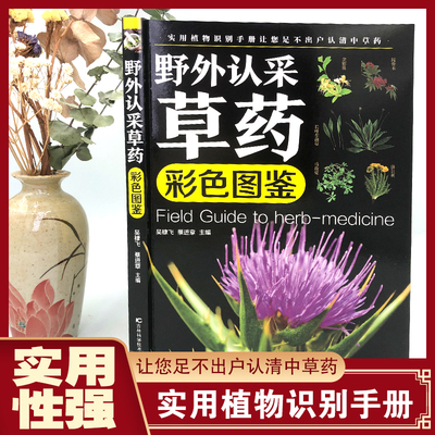 野外认采草药彩色图鉴 通俗易懂实用性强 实用植物之别手册