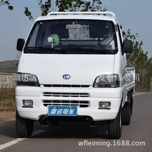 低速电动汽车成人油电两用增程式电动货车新能源四轮电动早餐车