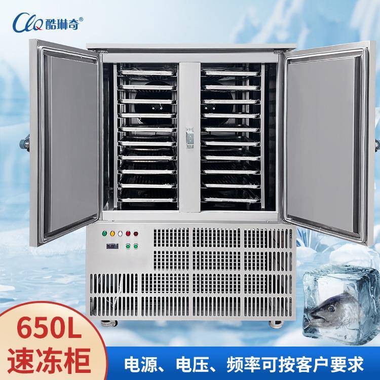 商用650L双门大容量20盘油条坯面点食品低温冷冻-45度速冻机