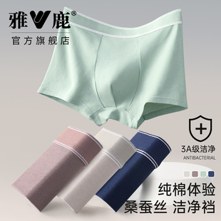 雅鹿男士纯棉平角内裤四角短裤亲肤透气抗菌运动内裤大码2026新款