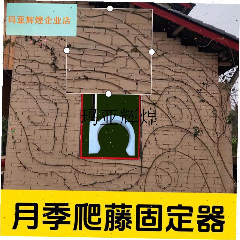 爬藤固定器藤本月季蔷薇花枝挂墙牵引卡扣O户外水泥红砖墙专用墙,