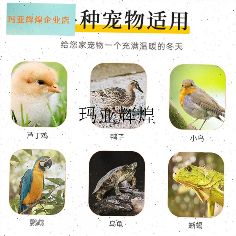 芦丁鸡保温灯f保温箱加热灯宠物小鸡小龟爬宠虫晒背育雏取暖控温,