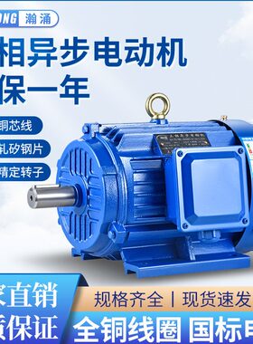 .84电机瓦Y55801三VK.M2国标75-相/2  M2千380/10.-00电动机全铜W