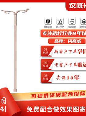 LED市电路灯市政道路工程照明路灯6米8米单臂双臂led道路照明灯