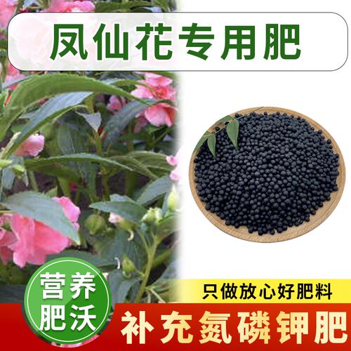 凤仙花专用肥料种话植物家用x室内园艺室内花卉绿植盆栽催花氮磷