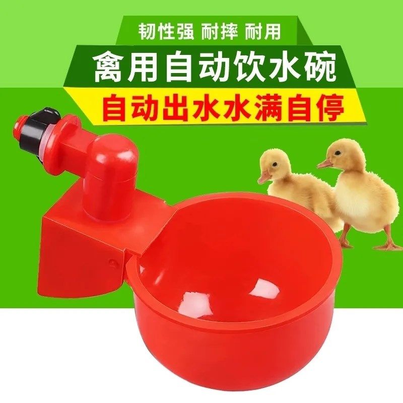 自动喂水器鹌鹑鸟鸽子饮水器养殖神器鸡鸭鹅饮水器饮水碗,畜牧/养殖物资,养殖用具,淘宝优惠券,粉丝福利购,淘宝优惠卷