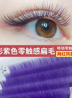 零触感空气感彩色扁毛 紫色嫁接睫毛 单根密排种植假睫毛