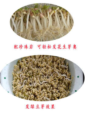 种花生专用神器泡生花p生芽的发豆芽机家用大号发芽桶绿豆芽罐机
