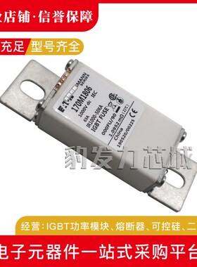 170M1760/1761/1762/1770/1771/1772/1773/1774/1775-1781熔断器