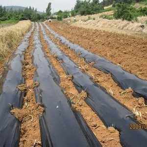 极速厂销塑料薄膜 黑地膜除草膜 黑色地膜加厚黑S膜农用膜大棚膜,农机/农具/农膜,农用薄膜,淘宝优惠券,粉丝福利购,淘宝优惠卷