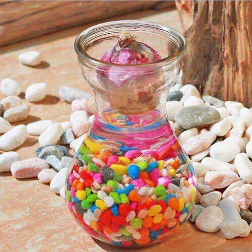 极速七色可选玻璃花瓶透明t风信子绿萝花盆客厅室内水培水养植物