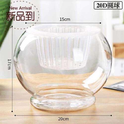 新品。宝摆件小花瓶卧室种植装饰品大号绿6箩真S花瓶子桌上玻璃花