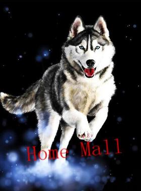 极速Frameless Huskies Antimals Diy Digital Painting By Numbe