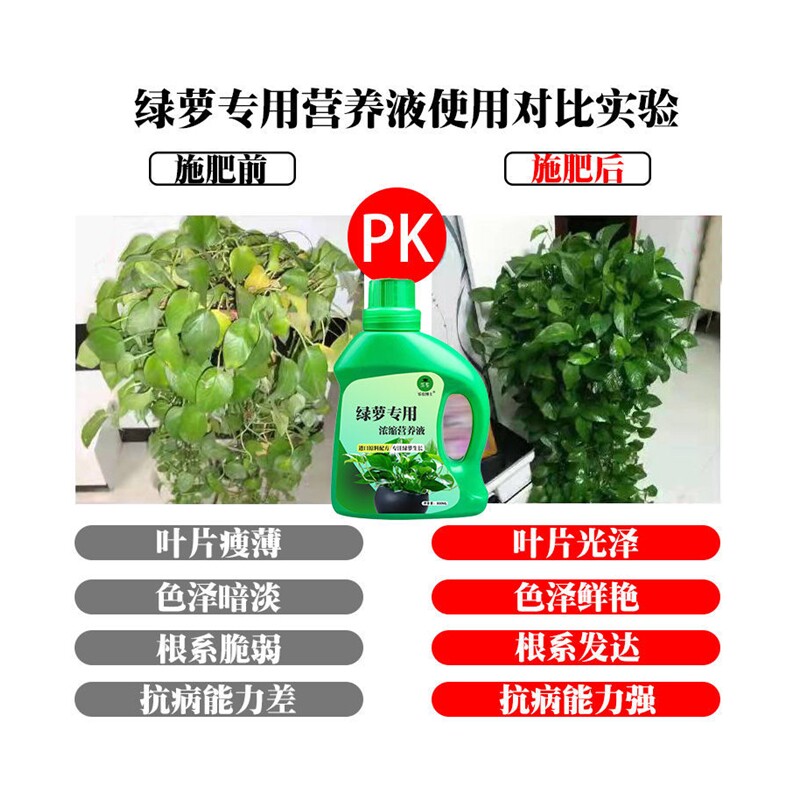 极速绿萝营养液家用养花通用型免稀释水培水N养促长藤液体浓缩型