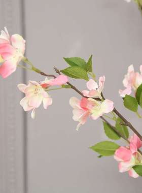 极速High-grade evergreen flwower simulation flower home deco