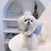 雪纳瑞比熊马尔济斯中小型犬新款 新品 ins风f狗狗衣服宠物秋冬款