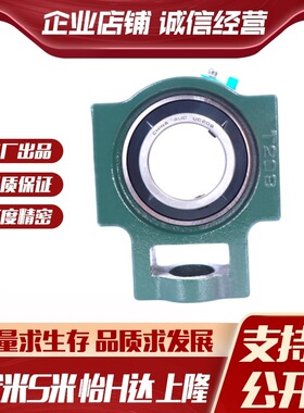 BDX05-201/202/203/204/205/206/207/208/209/210 标准型铸造带座