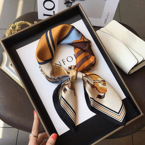 女士春秋丝巾气质百搭薄款网红韩版轻奢时尚围巾高档设计感小方巾