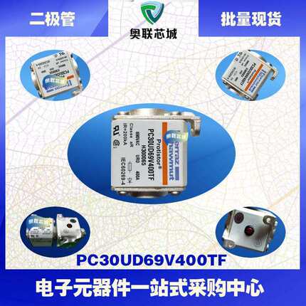 PC30UD69V550TF X300400 PC30UD60V630TF L301770法国罗兰熔断器