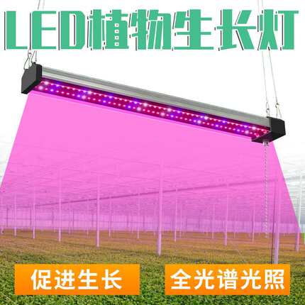 谦润照明led全光谱量子板植物灯生长灯花卉育苗专用大棚补光灯