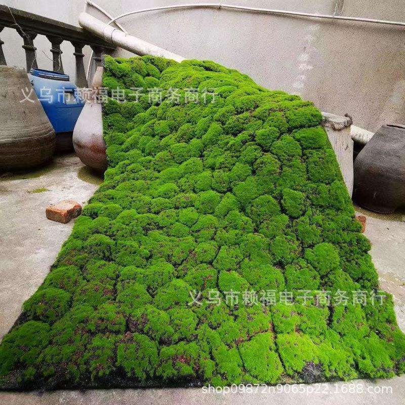 厂家直供仿真苔藓草坪植物墙背景橱窗婚庆盆景盆栽青苔