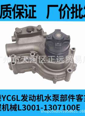 L3001-1307100玉柴6L水泵 霸龙507客车发动机 乘龙H5M5霸龙联合