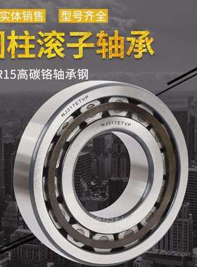 产地货源 减速箱机械轴承N10106大中型电动机二类圆柱滚子轴承