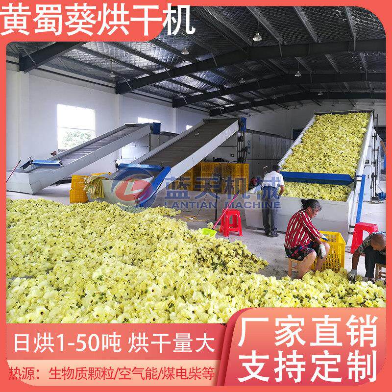 黄蜀葵烘干机连续式秋葵野芙蓉烘干设备黄芙蓉黄花莲中药材除湿机