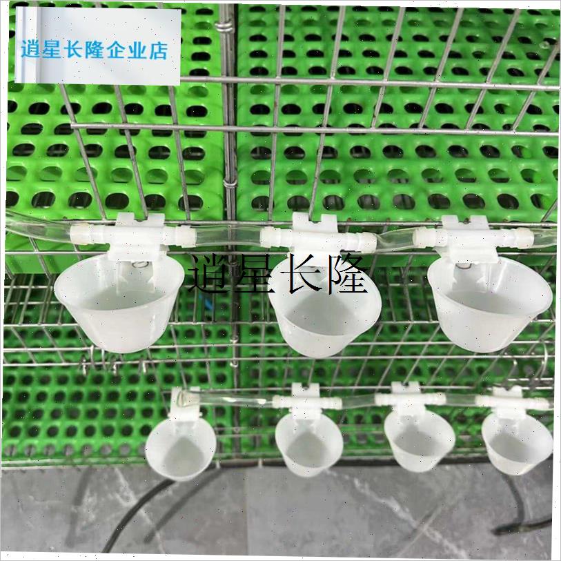 l自动饮水器芦丁鸡鸽子饮水器喂鸡自动饮L水器成套兔鸡鸭鹌鹑饮水