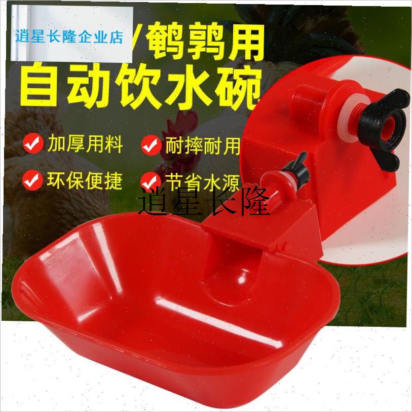 l新款特大号鸡鸭鹅自动饮水碗喂水器加大加厚家R禽宠物猫狗兔用水