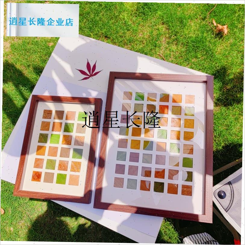 l真植物树叶标本相j框手工diy秋天叶子收集48宫格画带框装饰画桌