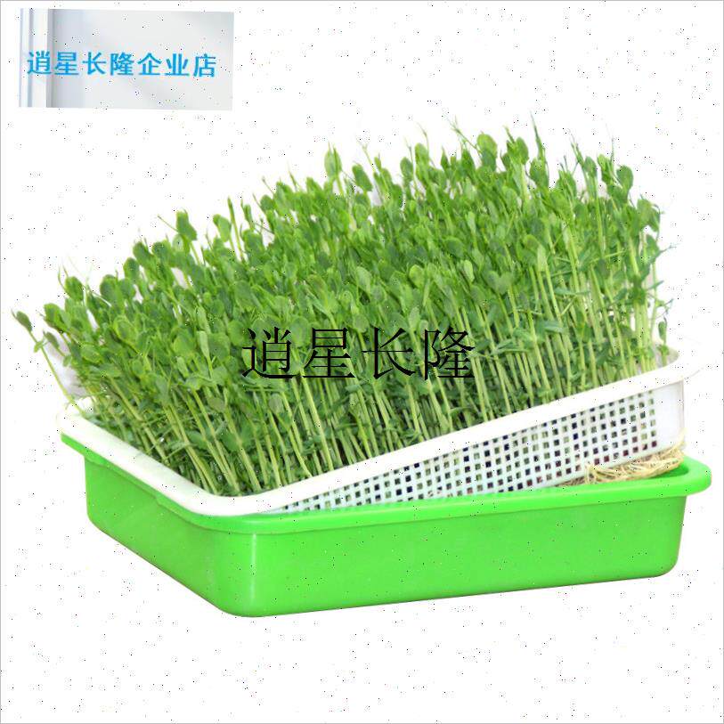 l热销豆芽菜育苗盘芽苗菜种植盘z带盖子育苗盆纸上种菜菜籽水培架
