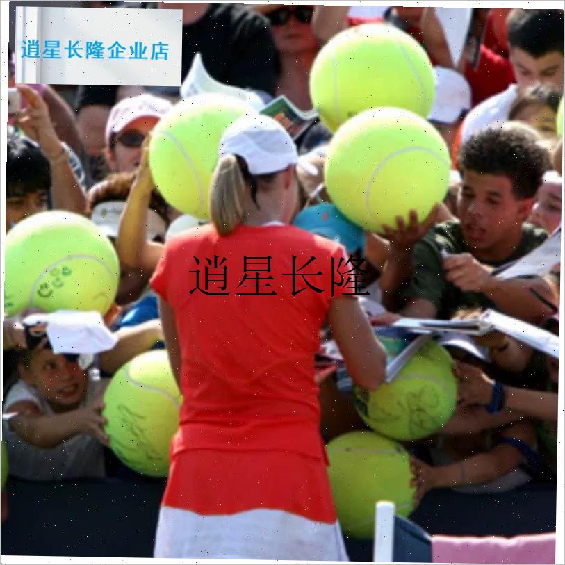 l厂家8寸9英寸充气网球签名网球儿童绒L布球宠物大网球礼品球