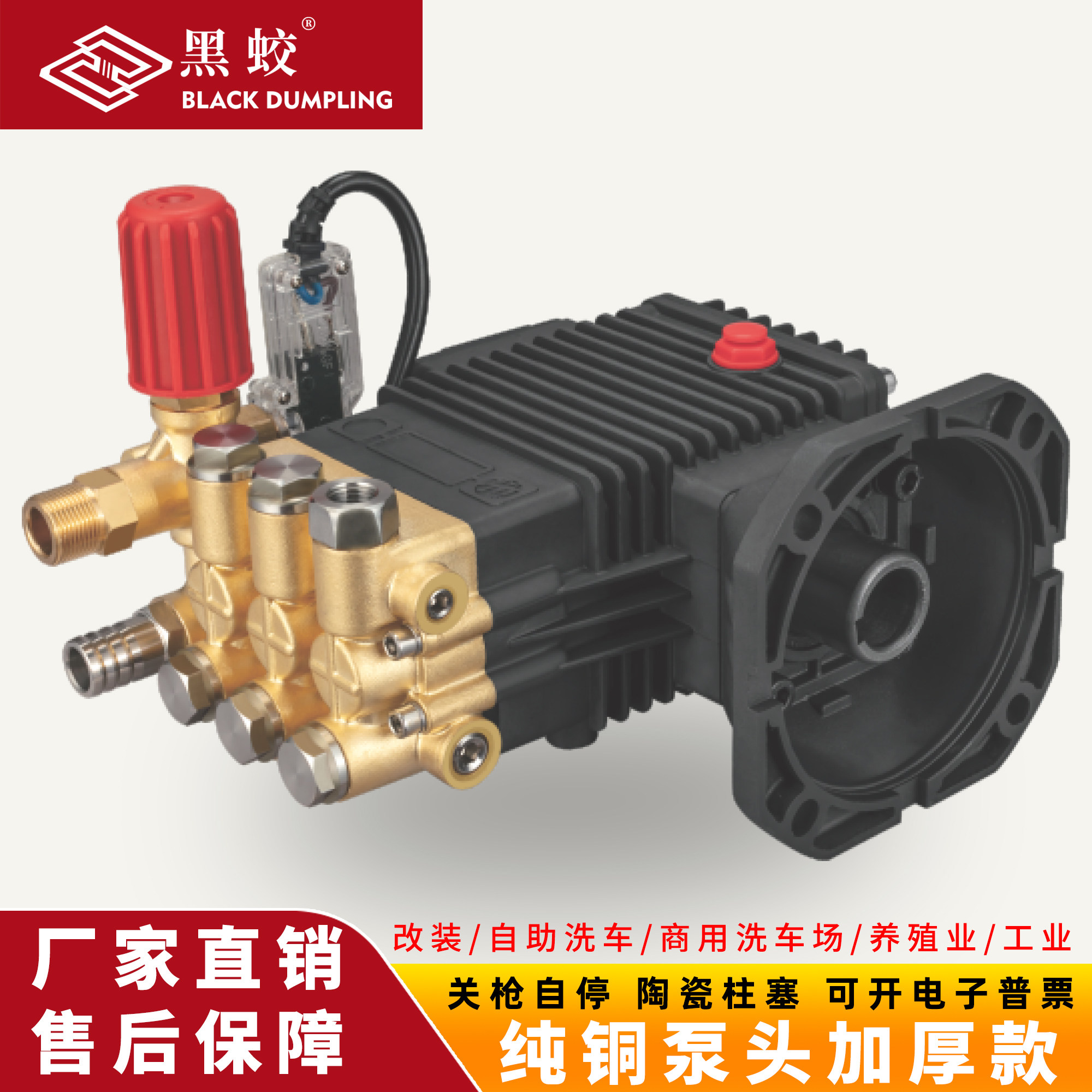 超高压清洗机泵头商用洗车机铜泵总成 1812型陶瓷柱塞泵