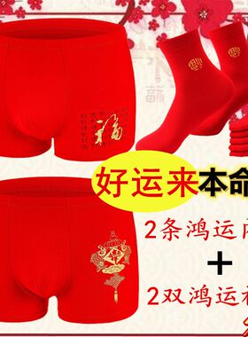 本命年男士内裤纯棉宽松红色结婚四平角I短裤袜兔青年抗菌加肥大