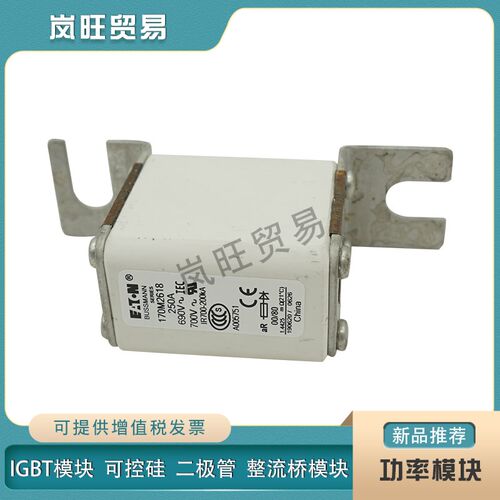 全新保险丝熔断器170M2657 2658 2659 2660 2661 2662U 2663 2664