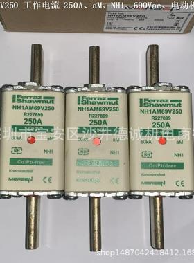 NH1AM69V40 G227890 熔断器 40A、NH1、aM、690Vac、电动机保护