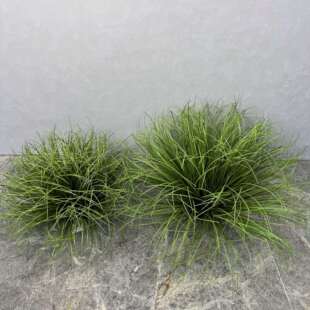 仿真植物蒲草球造景摆件店铺装饰假草堆景观芦苇草灌木草绿植园景