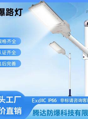 单叉防爆路灯120瓦LED防爆路灯化工厂区道路照明马路灯6米8M150W
